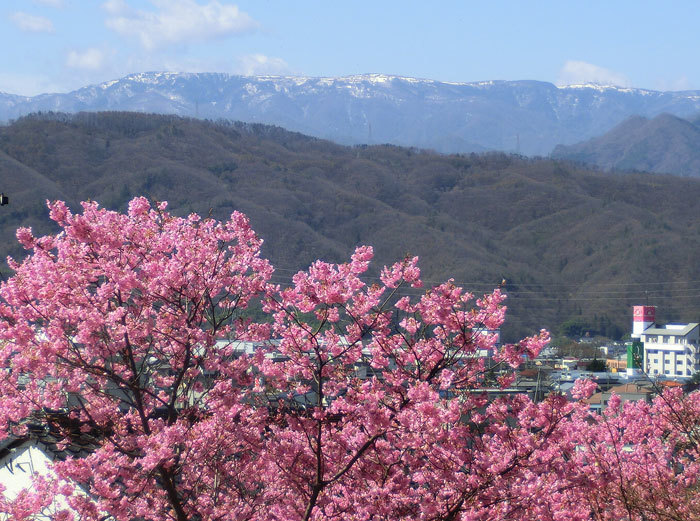 玄蕃山公園（げんばやまこうえん）と桜_e0269400_15561390.jpg