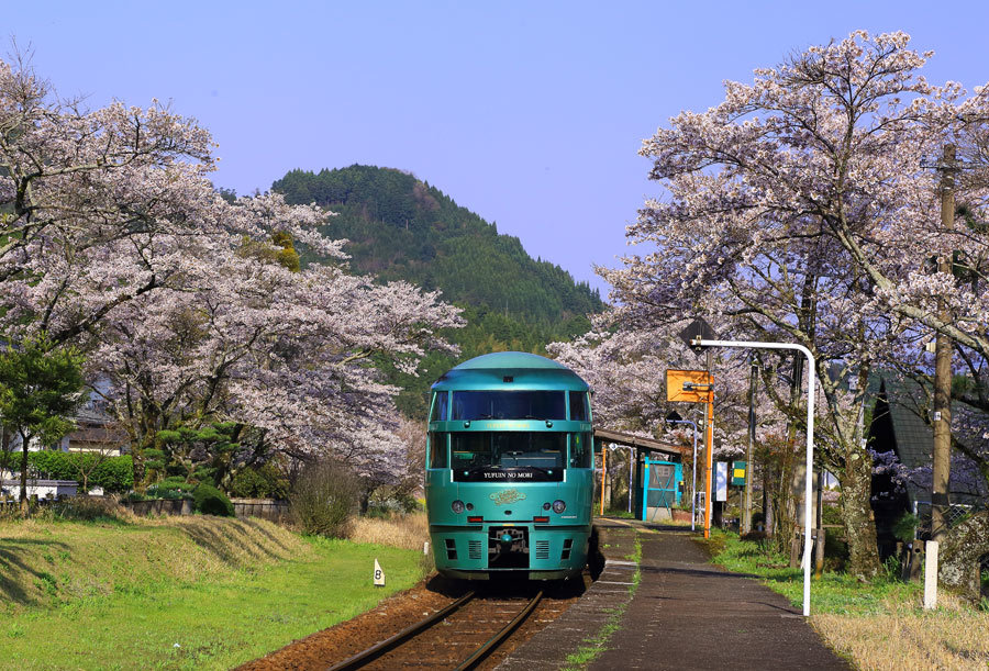 久大本線・北山田駅の桜_e0093903_09453556.jpg