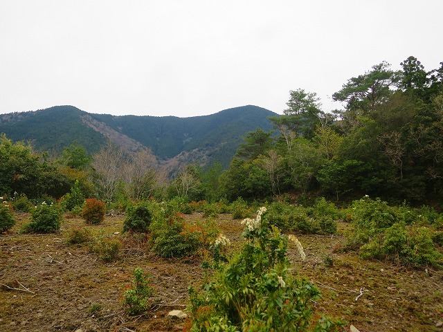d0360104_13384133.jpg