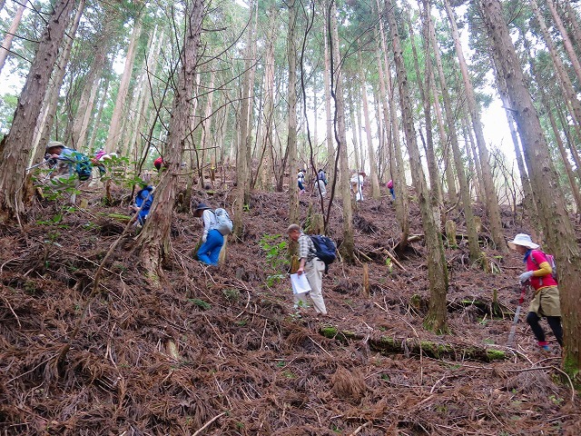 小辺路・果無超え（十津川～八木尾）－２／Kohechi Hatenasi rout_d0360104_15082520.jpg