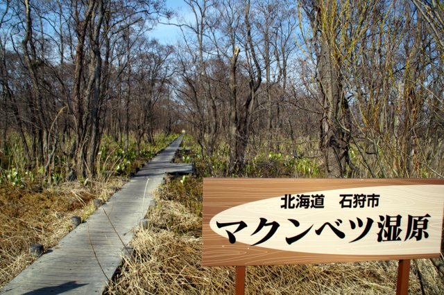 a0345007_20191336.jpg
