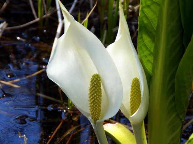 a0345007_203253100.jpg