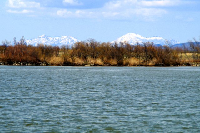 a0345007_2040176.jpg