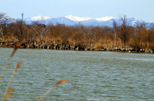 a0345007_2041059.jpg