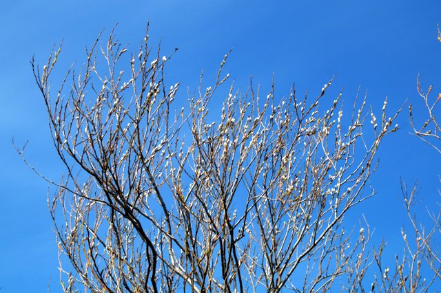 a0345007_20415925.jpg