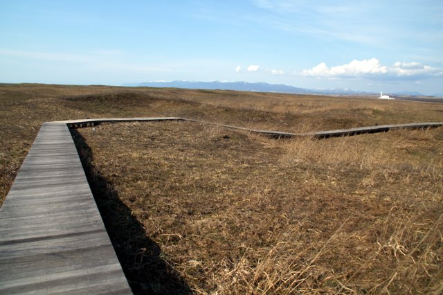 a0345007_20451922.jpg