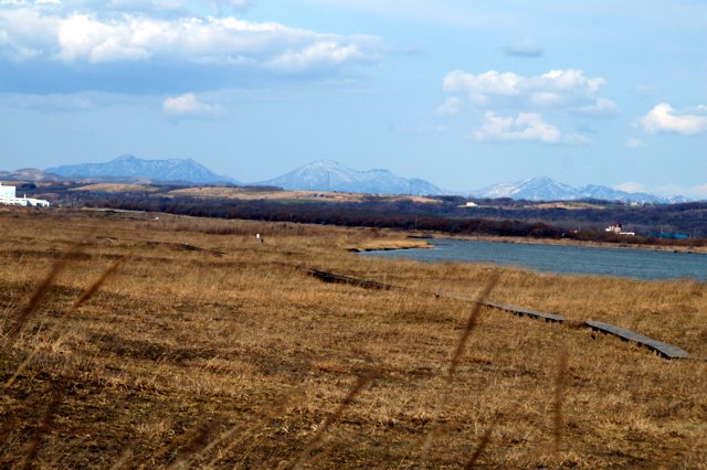 a0345007_20491832.jpg