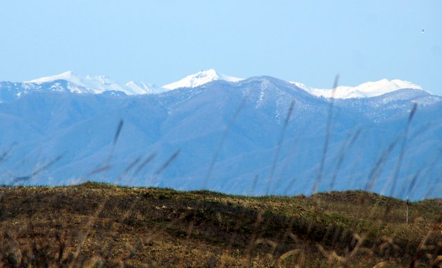a0345007_20495978.jpg