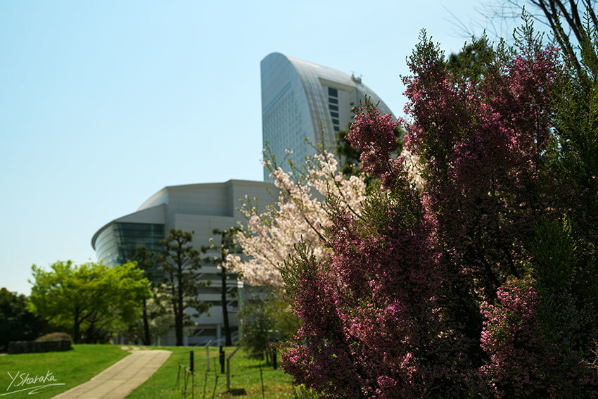 f0344614_15263416.jpg