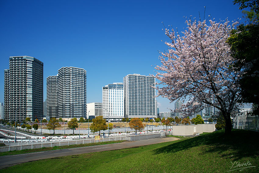 f0344614_15280531.jpg