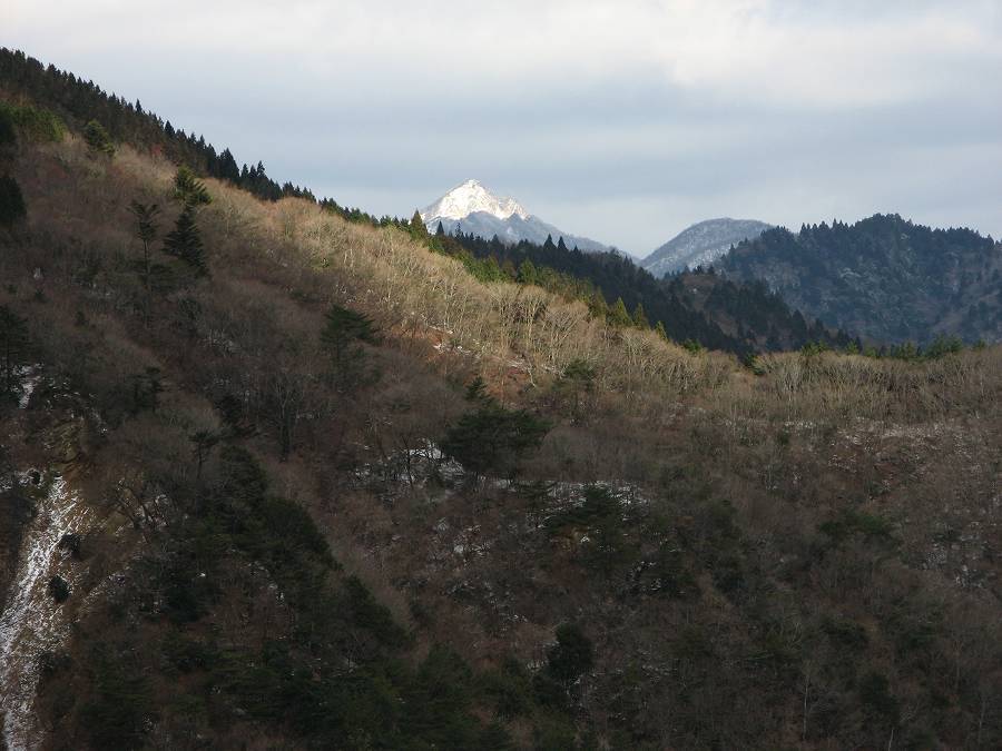 鬼ヶ牙・臼杵岳・臼杵山_b0353715_16115870.jpg