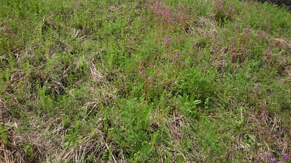f0260120_2261516.jpg