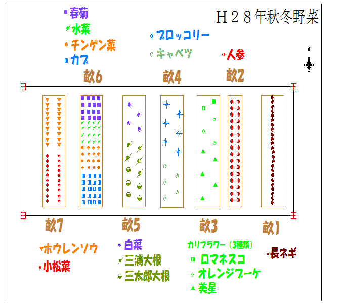 平成29年5月29日から「法定相続情報証明制度」運用開始。_f0005428_2026524.gif