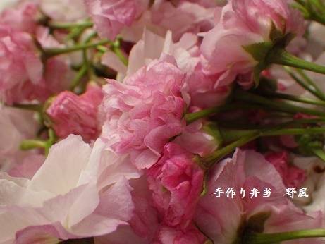 b0244034_17105546.jpg