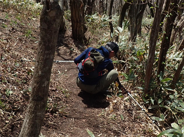 大江高山③ギフチョウ愛の劇場_f0214649_04542281.jpg