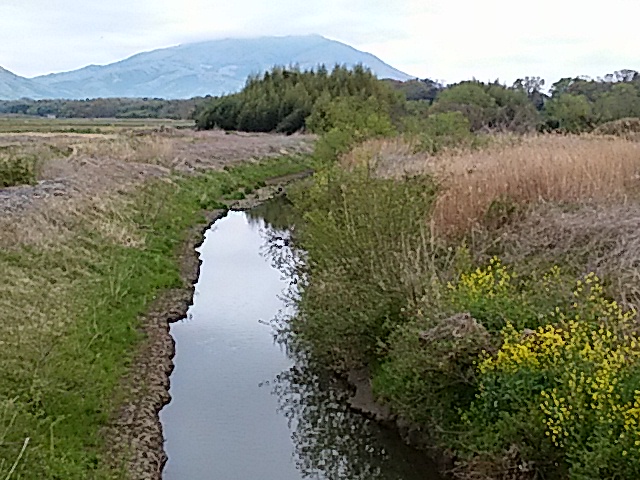 筑波山と桜川_e0009760_9145911.jpg