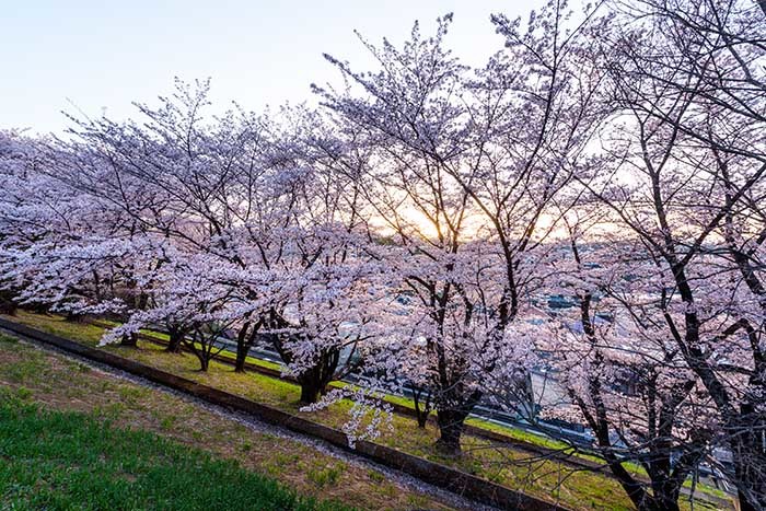 現場、進んでいます（4月篇）　／　岩槻の家_c0213766_11304499.jpg