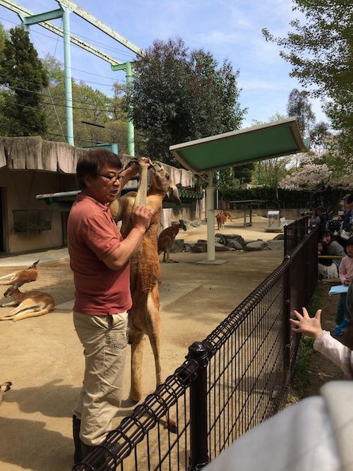 東山動物園 その1_f0324766_14320482.jpg