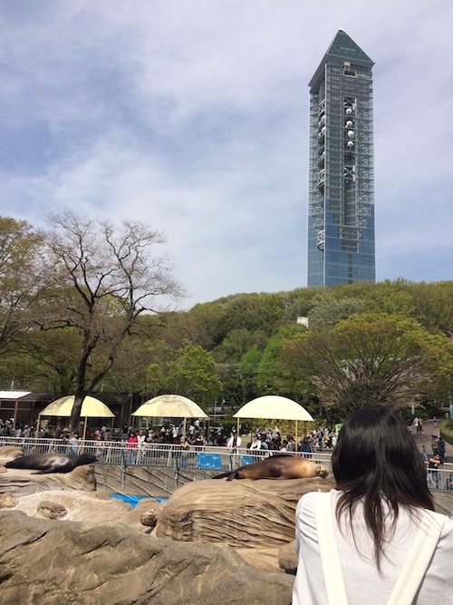 東山動物園 その1_f0324766_14341050.jpg