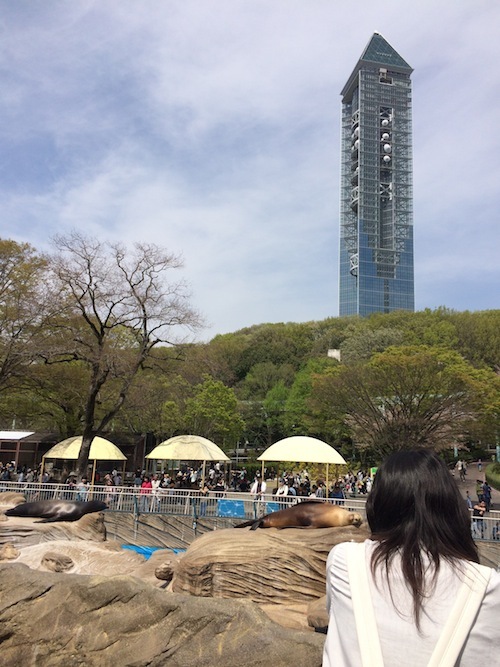 東山動物園　その１_f0324766_14341050.jpg