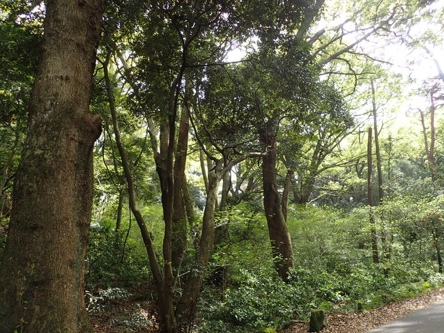 c0286574_16544844.jpg