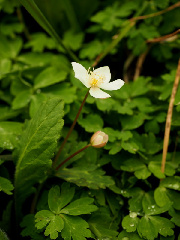 f0372177_17104595.jpg