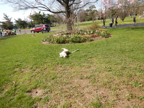 c0253487_03203721.jpg