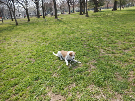 c0253487_03414453.jpg