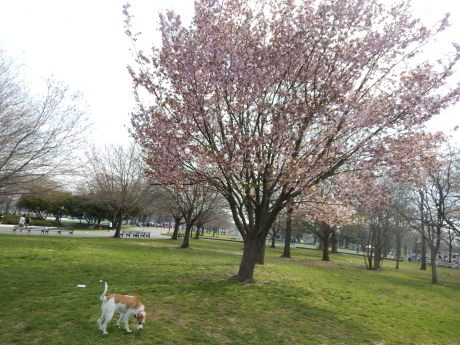 c0253487_03414846.jpg