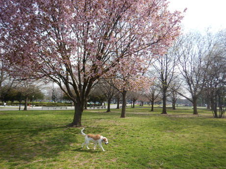 c0253487_03430266.jpg