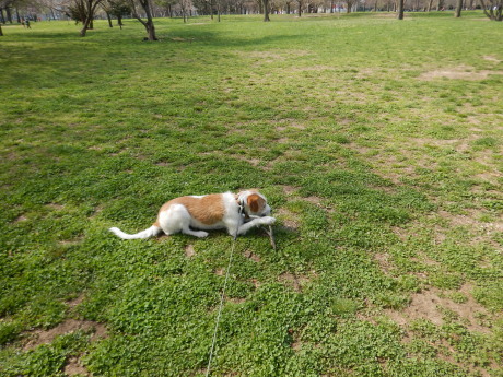 c0253487_04000389.jpg