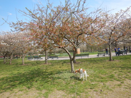 c0253487_04301922.jpg