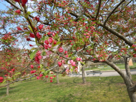 c0253487_04311171.jpg