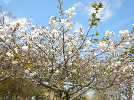 c0253487_04515953.jpg