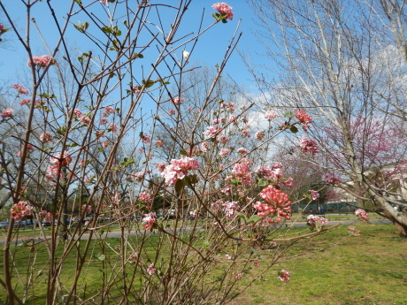 c0253487_04553352.jpg