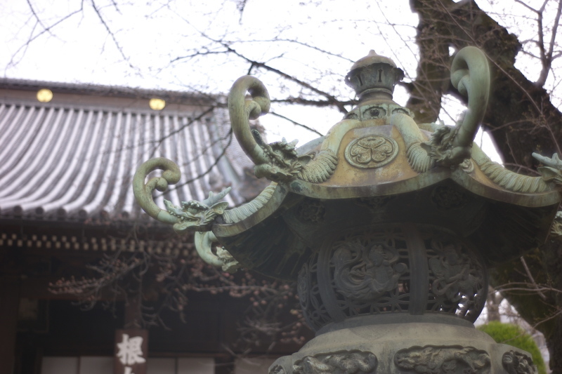 上野寛永寺根本中堂_b0352397_06524187.jpg