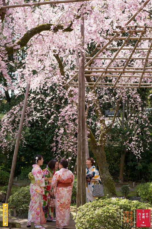 c0183700_8263935.jpg