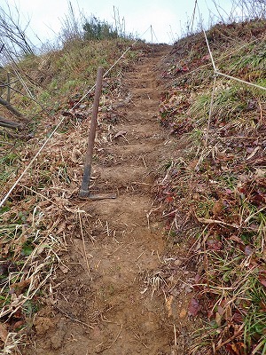 カタクリの登山道整備でした_c0336902_16564211.jpg