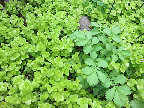 d0046702_07210064.jpg