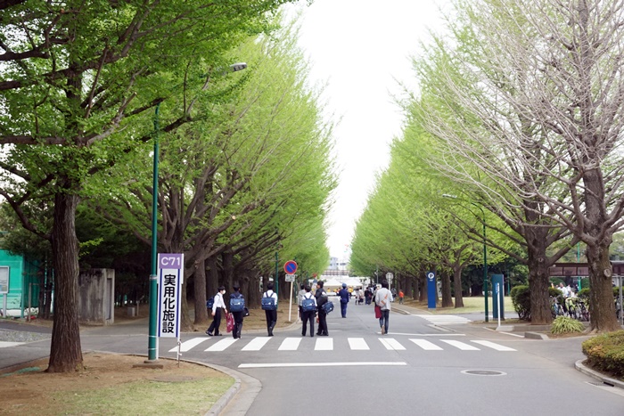 今日は「理研の日」_c0187503_1873576.jpg