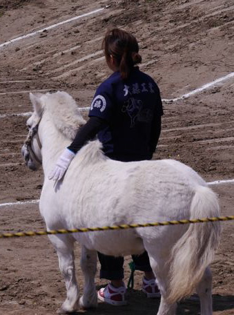 f0144003_20412207.jpg