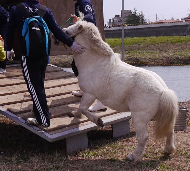 f0144003_20414171.jpg
