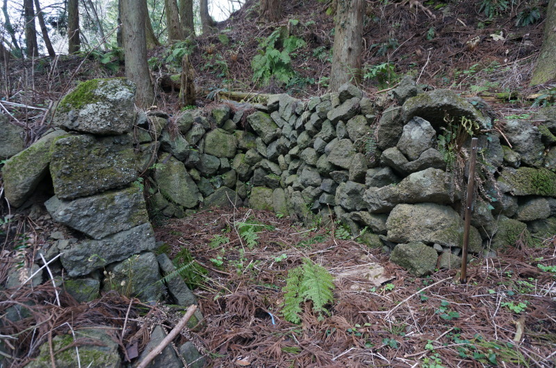 d0359010_13200301.jpg