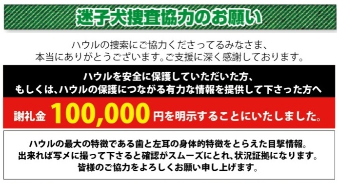 ハウル_e0005411_07392739.jpg