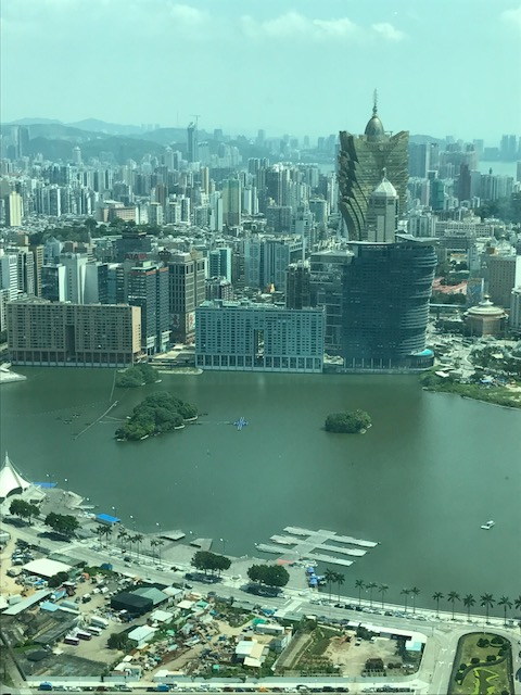 a0070715_16391636.png