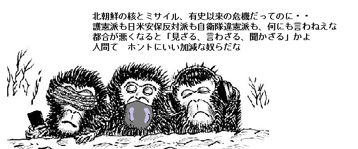 護憲派は不都合なものは見ざる、言わざる、聞かざるだ　　　　東京カラス_f0229716_17265200.jpg