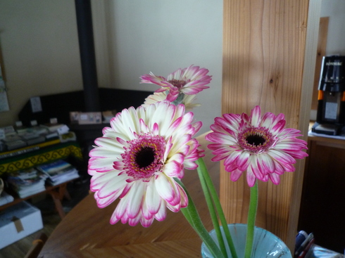 c0189218_1748162.jpg