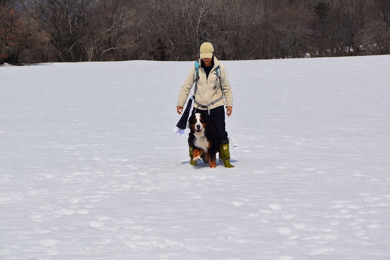 蒜山高原　雪遊び。_f0174419_19273554.jpg