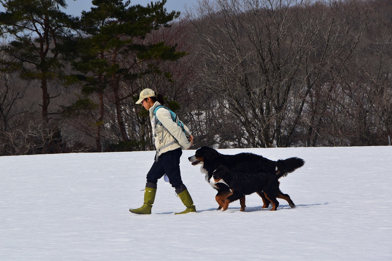 蒜山高原　雪遊び。_f0174419_19295462.jpg