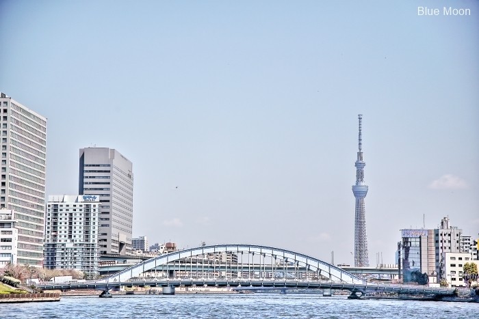 東京散歩人 Sumida River_a0351431_04190663.jpg